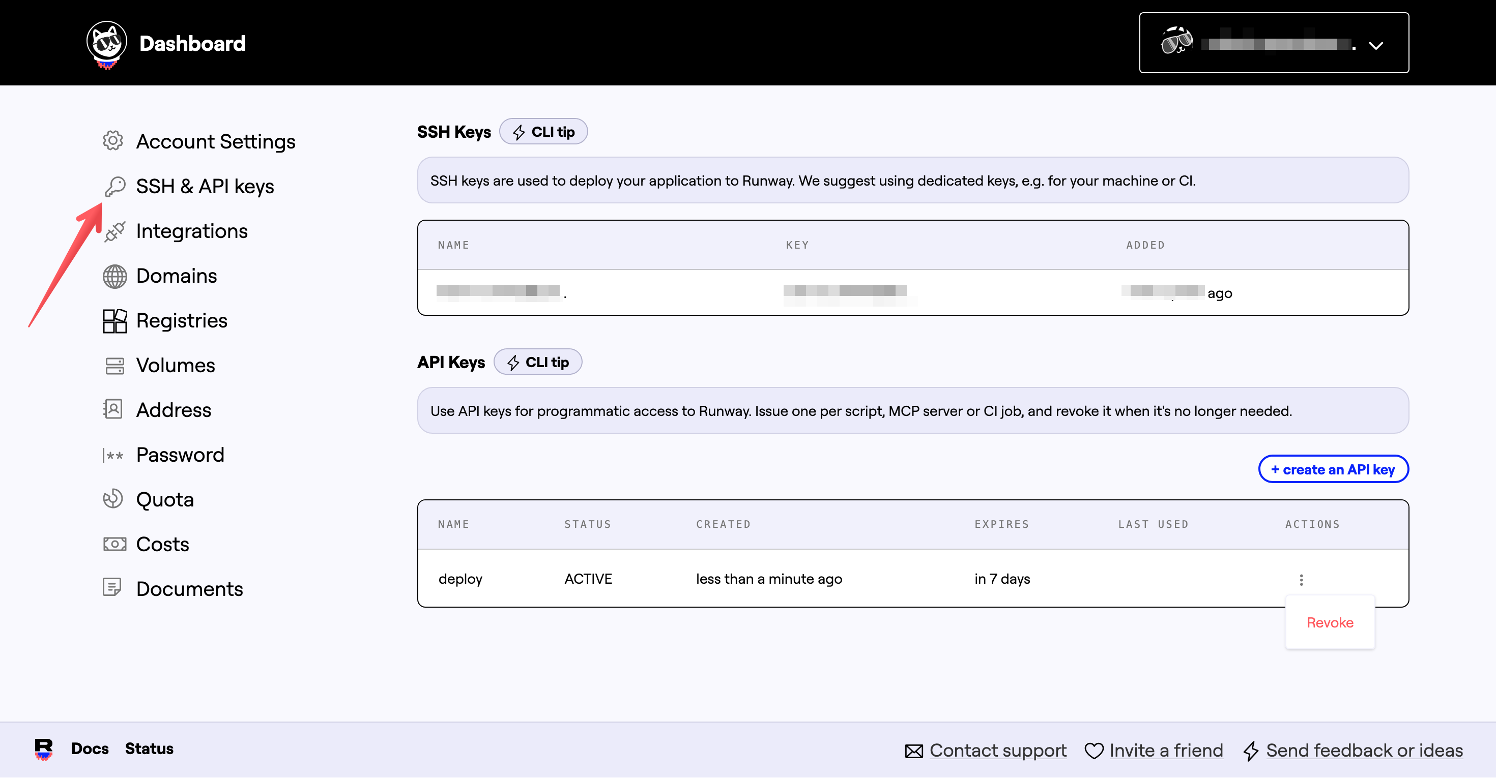 Runway UI: Profile with SSH and API keys